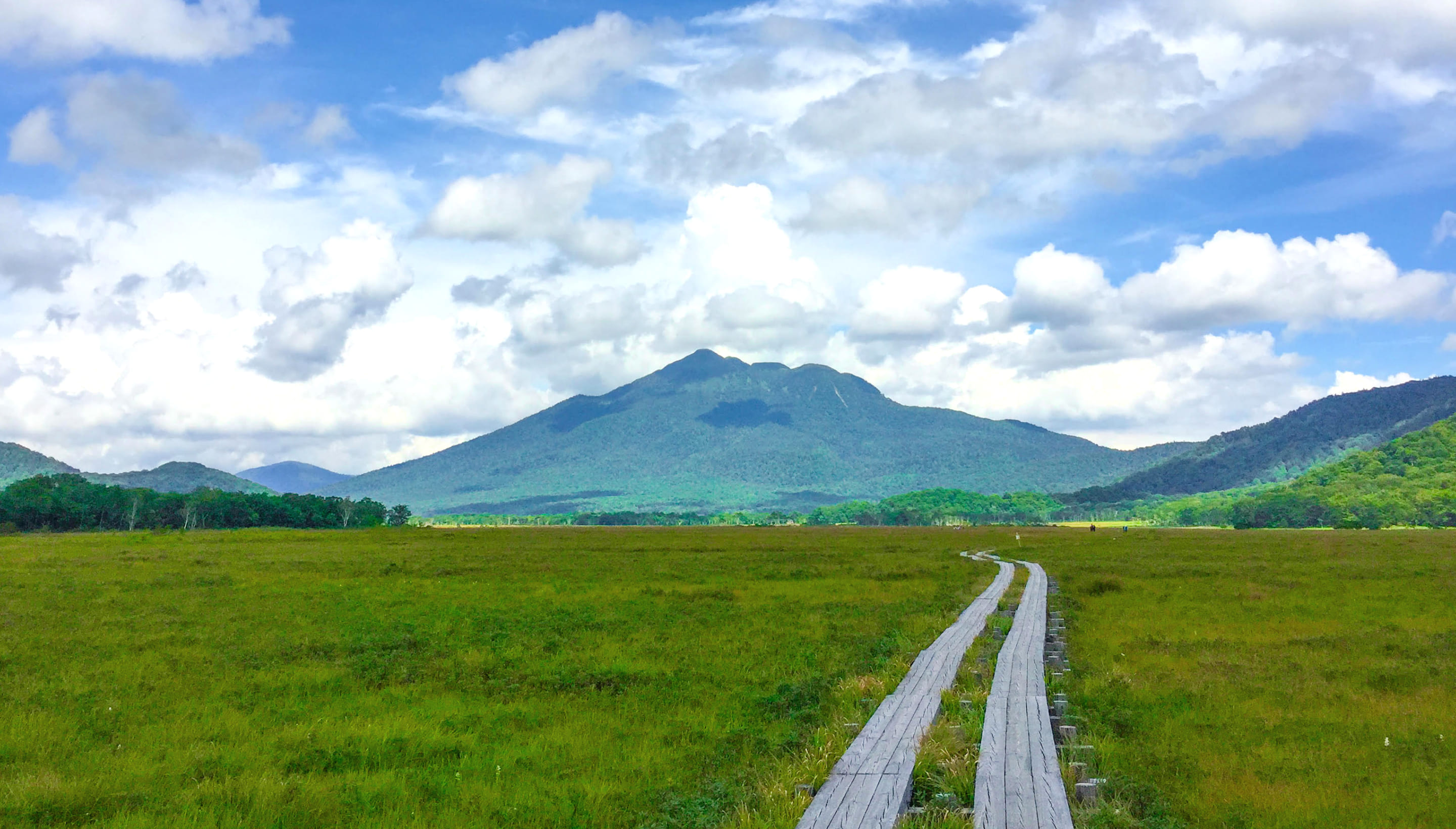 尾瀬の風景
